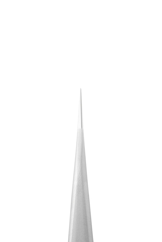 Staleks Pro Eyelash Tweezers Expert 41 Type 10 Straight (TE-41/10)